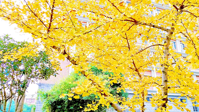 学校简介配图 (25).jpg